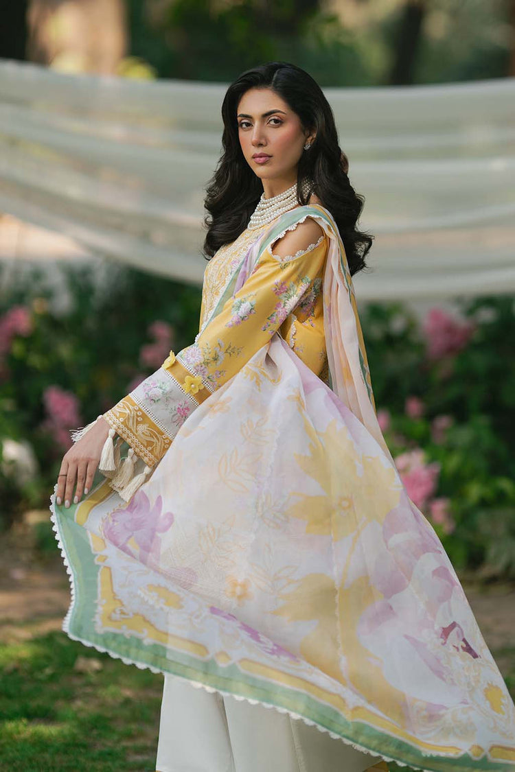 SAAD SHAIKH N/W [HUSNA]
