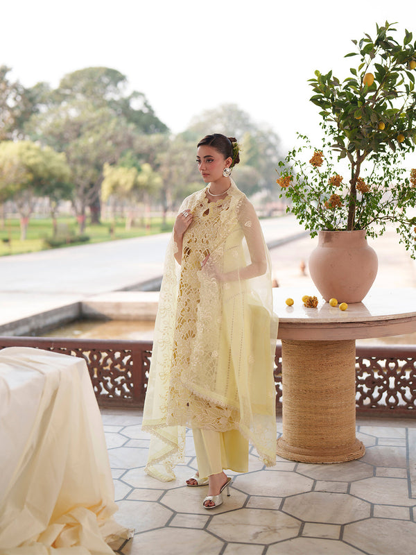 NILOFER BY MAHNUR-07