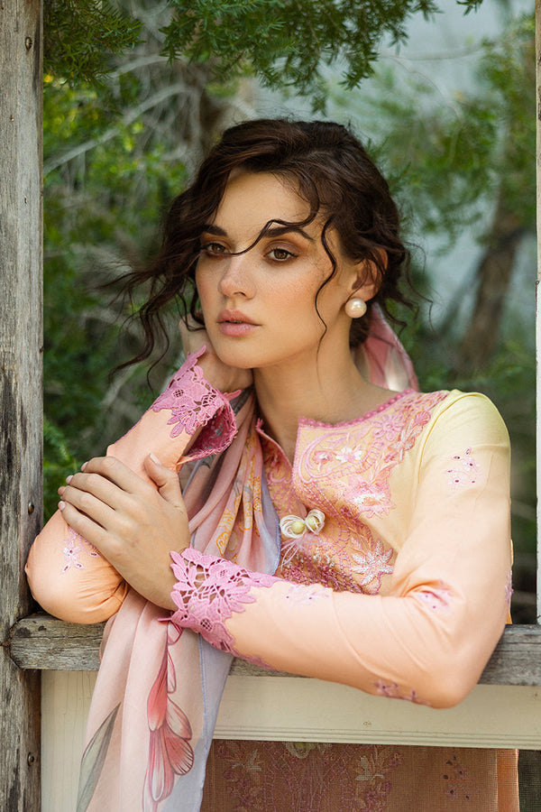 SOLACE OMBRE CHIKANKARI|Risate