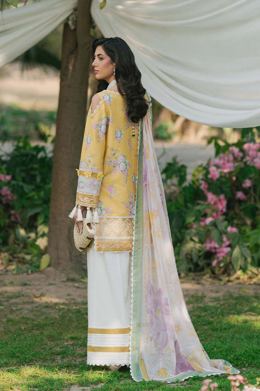 SAAD SHAIKH N/W [HUSNA]