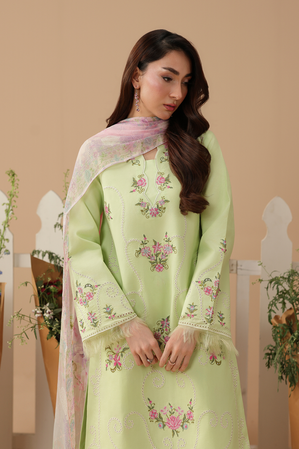 RAJBARI JAHAAN-11
