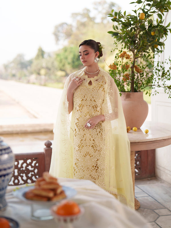NILOFER BY MAHNUR-07