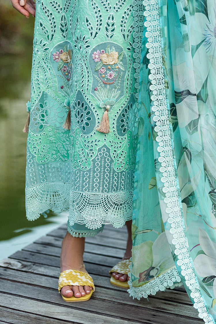 SOLACE OMBRE CHIKANKARI|Famiglia