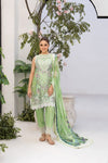 Sobia nazir Vital 2025 Design 12A
