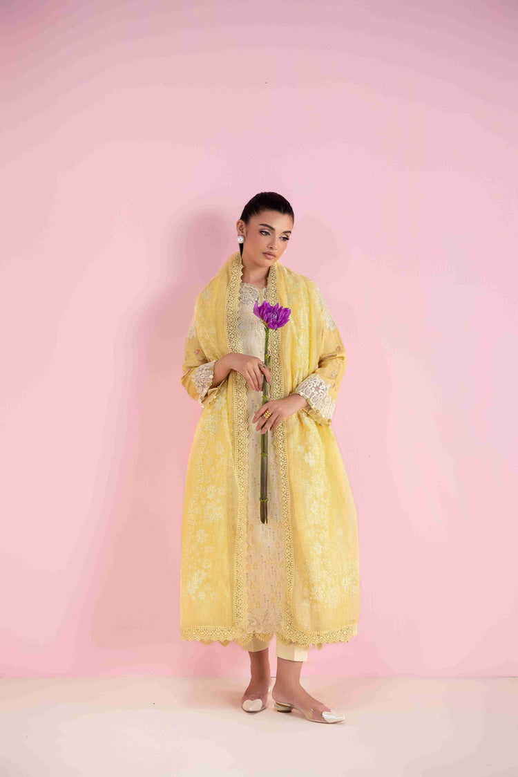 AABYAAN PRET-MAHVEEN AP-04