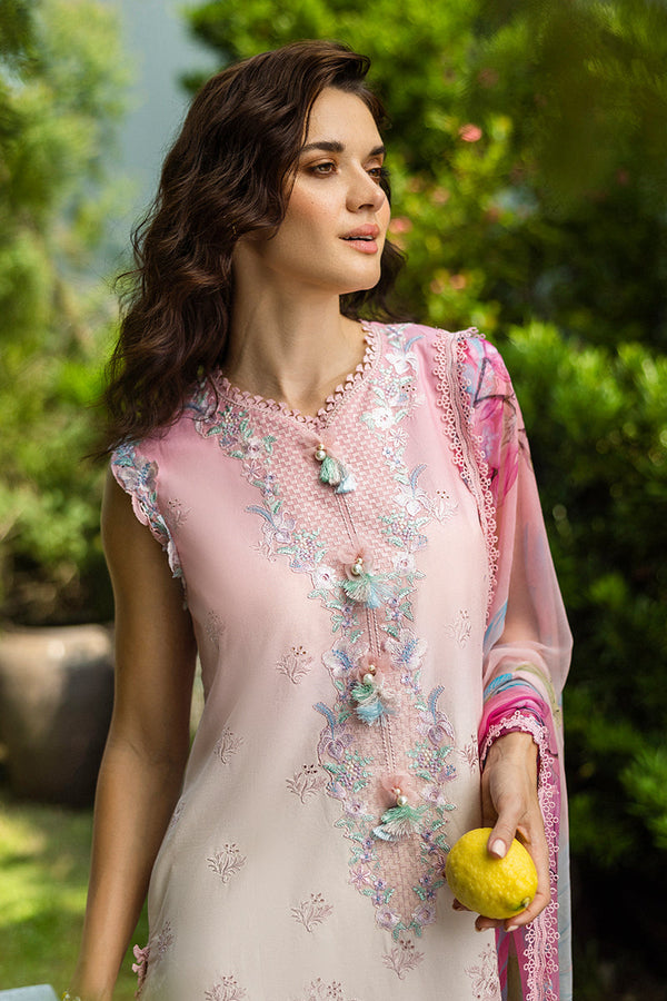 SOLACE OMBRE CHIKANKARI|Sorriso