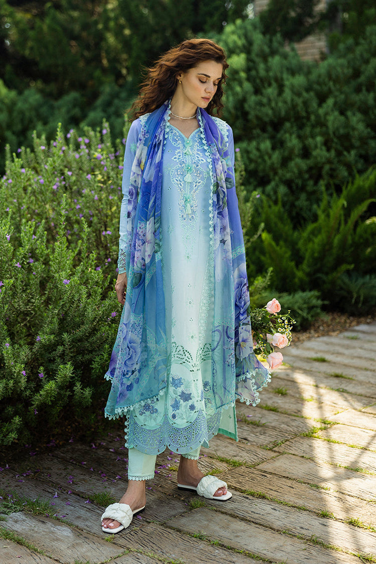 SOLACE OMBRE CHIKANKARI|Fiducia