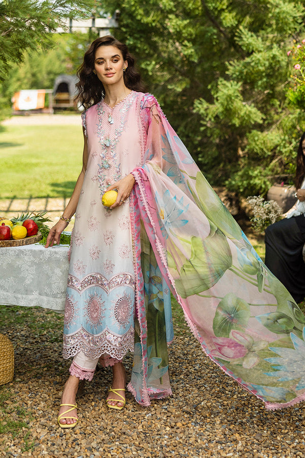 SOLACE OMBRE CHIKANKARI|Sorriso