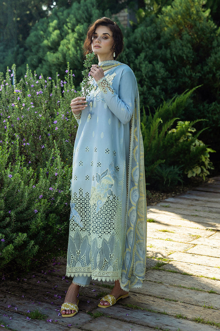 SOLACE OMBRE CHIKANKARI|Intesa