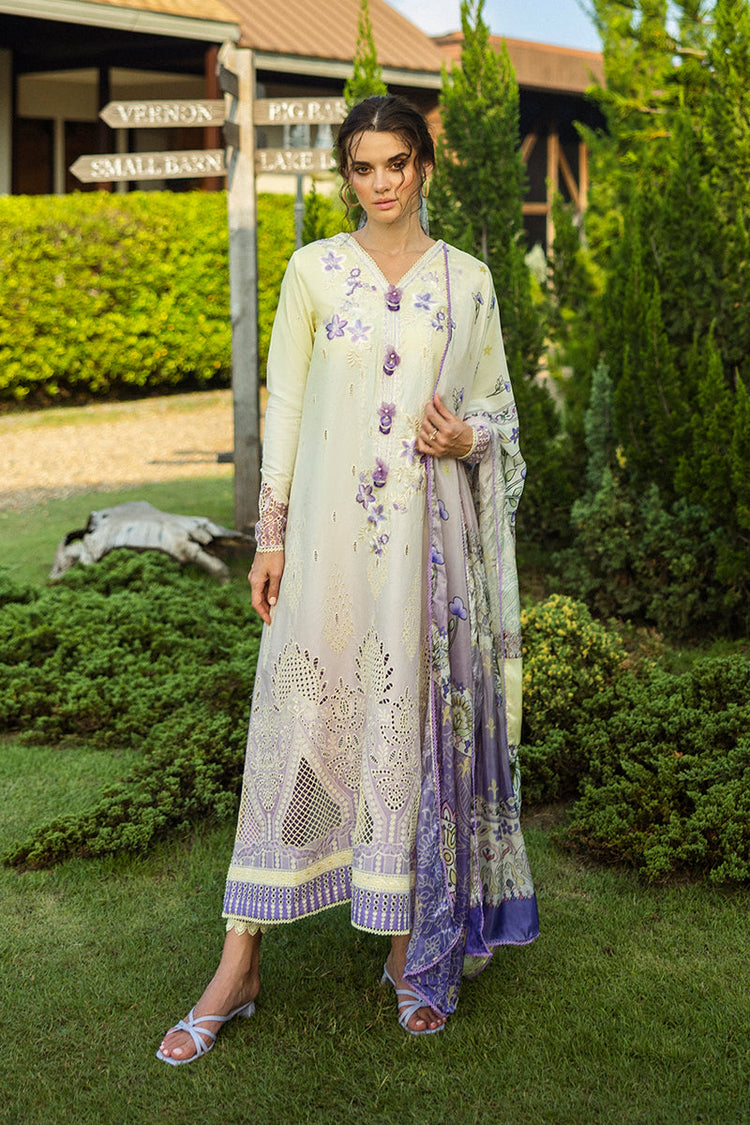 SOLACE OMBRE CHIKANKARI|Gioia