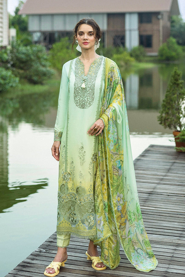 SOLACE OMBRE CHIKANKARI|Unione