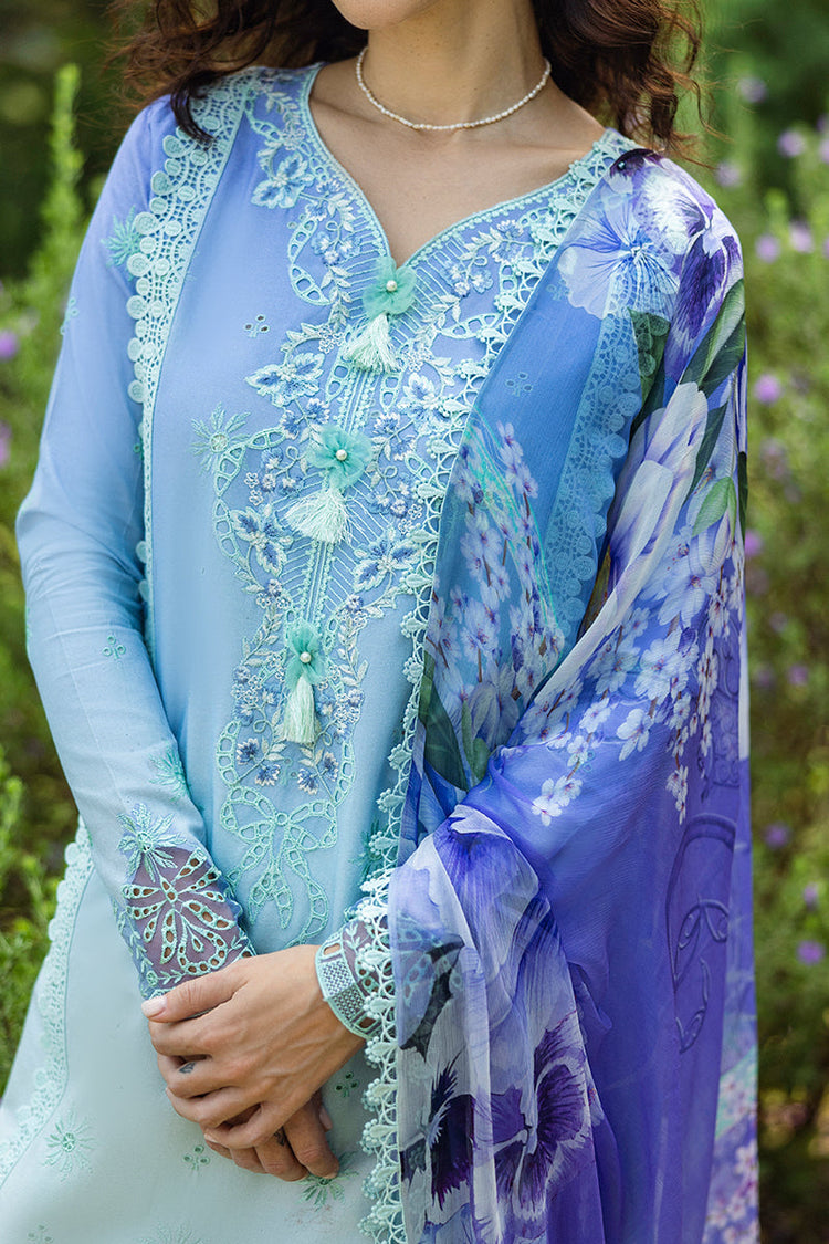 SOLACE OMBRE CHIKANKARI|Fiducia