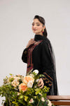 PHULKAARI ZR-2622 | BLACK
