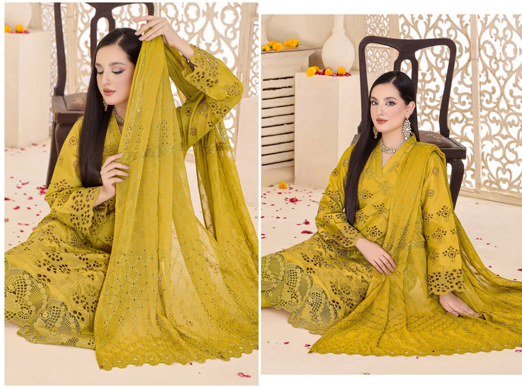KINZA CHICKEN KARI UN-STITCHED COLLECTION BY BIN HAMEED 24'-01