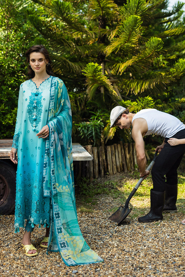 SOLACE OMBRE CHIKANKARI|Amore