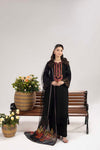 PHULKAARI ZR-2622 | BLACK