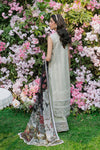 SAAD SHAIKH N/W [SHAFAQ]