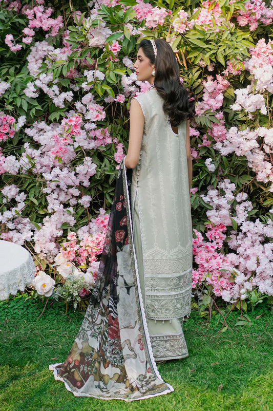 SAAD SHAIKH N/W [SHAFAQ]