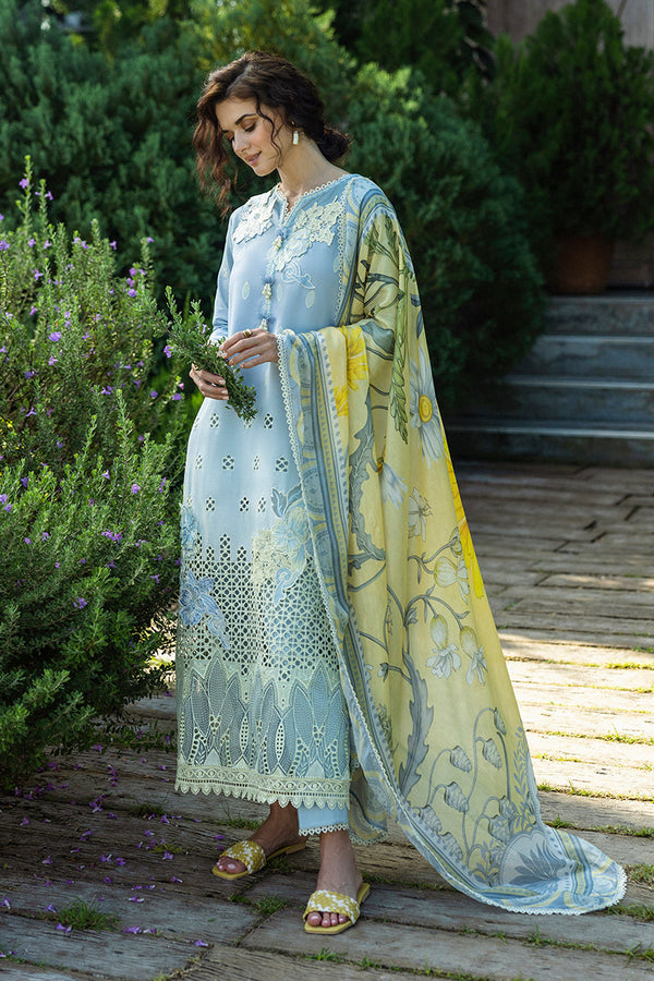 SOLACE OMBRE CHIKANKARI|Intesa