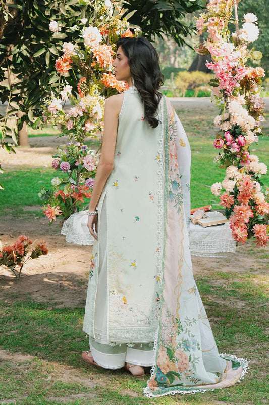 SAAD SHAIKH N/W [MEHER]