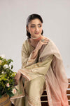 PHULKAARI ZR-2620 | BEIGE