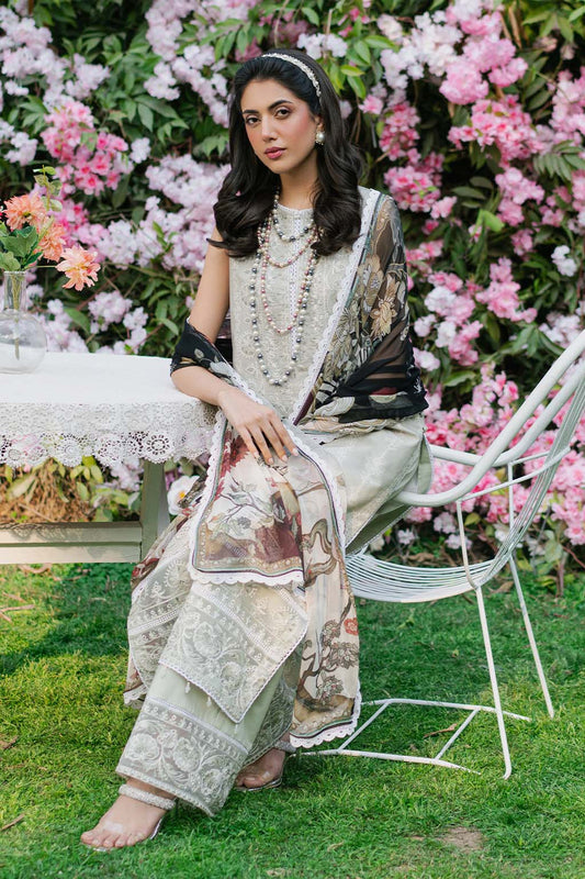 SAAD SHAIKH N/W [SHAFAQ]