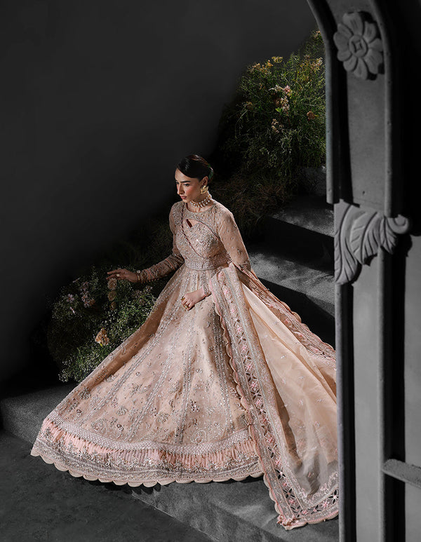 QALAMKAR ELIRA:-MF-01 LUSTRA