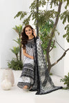 Sobia nazir Vital 2025 Design 10A