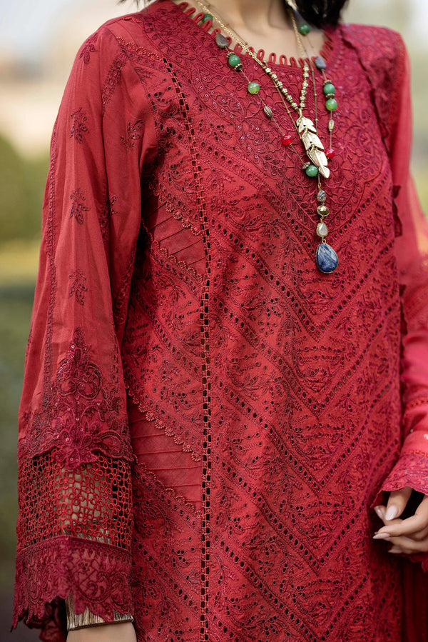 ADAN'S LIBAS TRADITION-26-D08